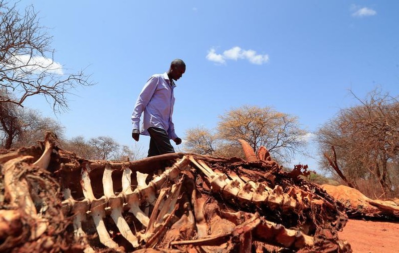 Hạn hán tại Kenya đẩy người dân vào nạn đói nghiêm trọng - Ảnh 12.