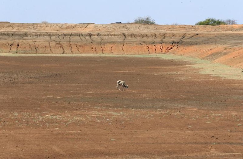 Hạn hán tại Kenya đẩy người dân vào nạn đói nghiêm trọng - Ảnh 14.