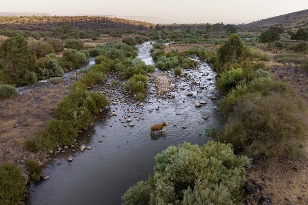 Israel hợp tác với Jordan khôi phục hệ sinh thái sông Jordan - Ảnh 1.