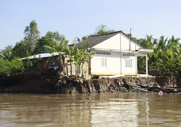 Sạt lở bờ sông Cổ Chiên (Vĩnh Long) làm sập 13 căn nhà - Ảnh 1.