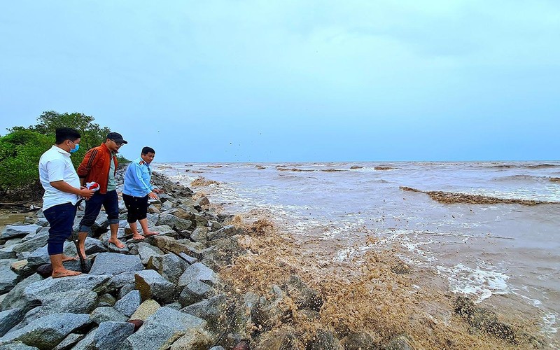 Phòng chống sạt lở ven biển Cà Mau - Ảnh 1.