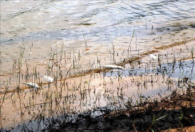 Môi trường nước mặt tại khu vực lòng hồ Khe Lang (Hà Tĩnh) bị ô nhiễm - Ảnh 1.
