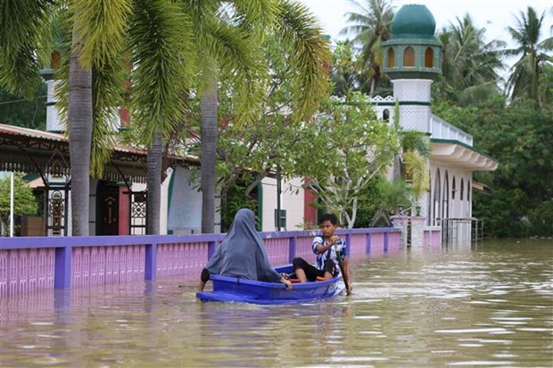 Ngành công nghiệp Thái Lan đối phó với nguy cơ ngập lụt - Ảnh 1.