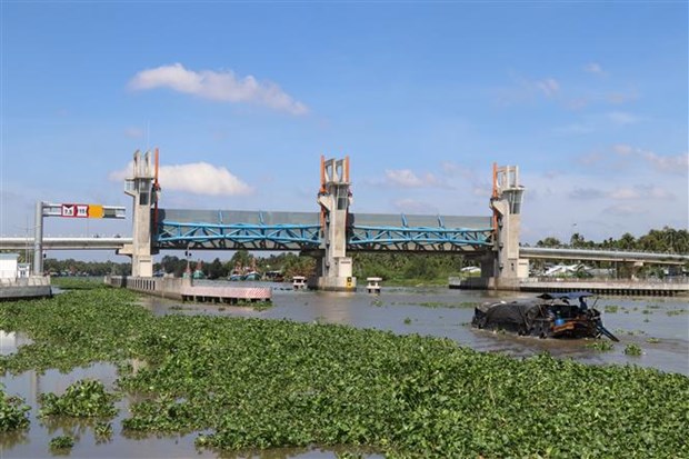 Các đợt xâm nhập mặn tăng cao ở cửa sông Cửu Long trong tháng 3 - Ảnh 1.