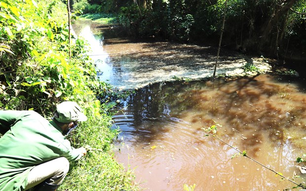 Xử lý dứt điểm tình trạng ô nhiễm suối Đạ Gùi ở Lâm Đồng - Ảnh 1.