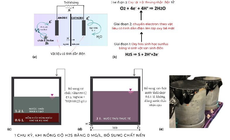 Nghiên cứu giảm thiểu ăn mòn sinh học trong hệ thống thoát nước đô thị bằng bê ông hỗ trợ chất dẫn điện - Ảnh 1.