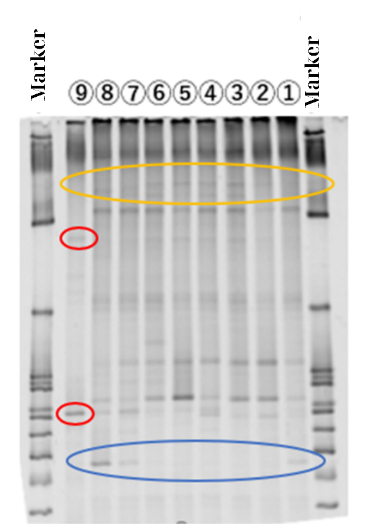 Nghiên cứu giảm thiểu ăn mòn sinh học trong hệ thống thoát nước đô thị bằng bê ông hỗ trợ chất dẫn điện - Ảnh 3.