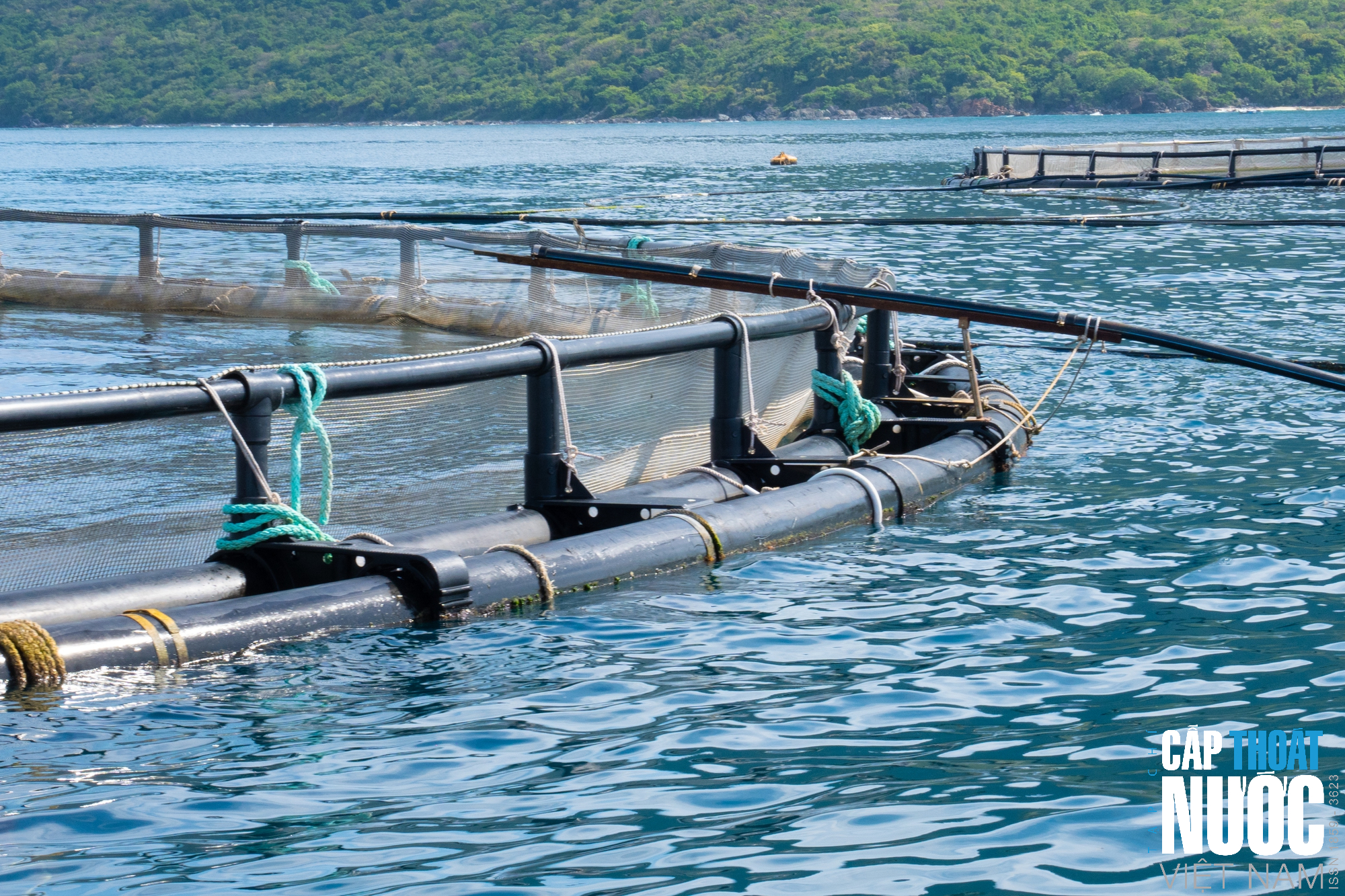 DEKKO đồng hành phát triển nuôi biển bền vững tại Việt Nam - Ảnh 2.