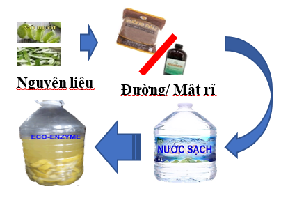 Đánh giá đặc điểm và ứng dụng của Eco-Enzymeđược sản xuất từ vỏ họ quả Citrus - Ảnh 1.