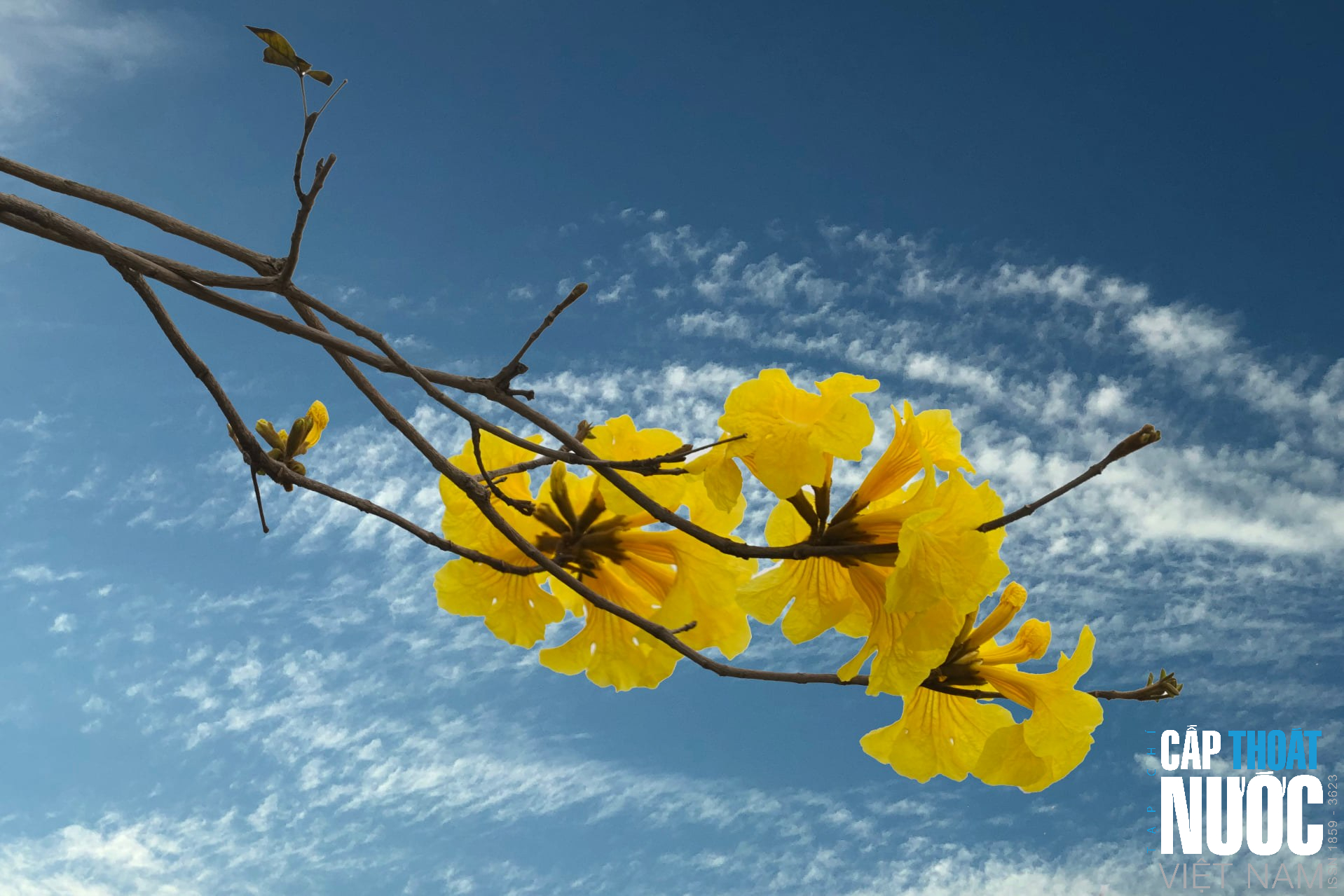 Dịu dàng tháng ba Hà Nội - Ảnh 6.