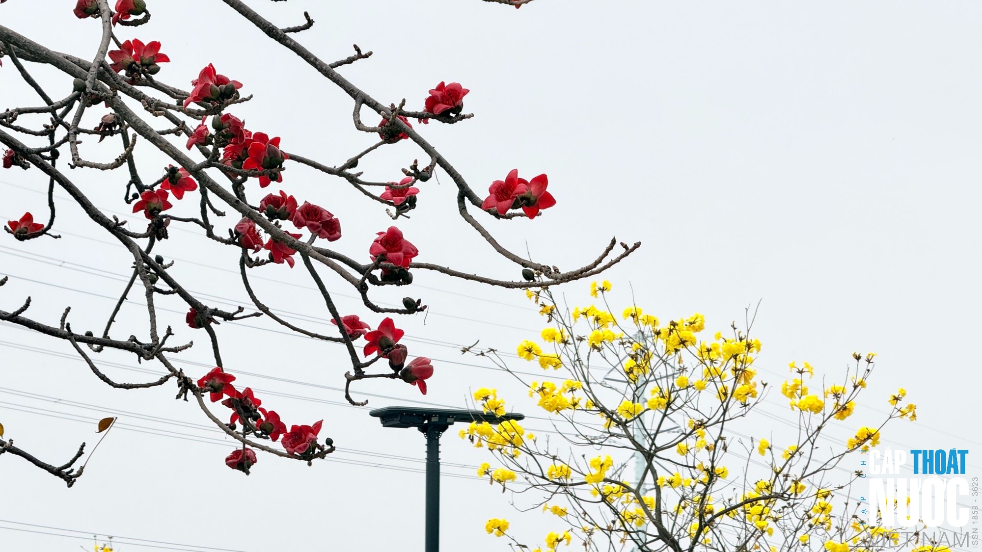 Dịu dàng tháng ba Hà Nội - Ảnh 7.