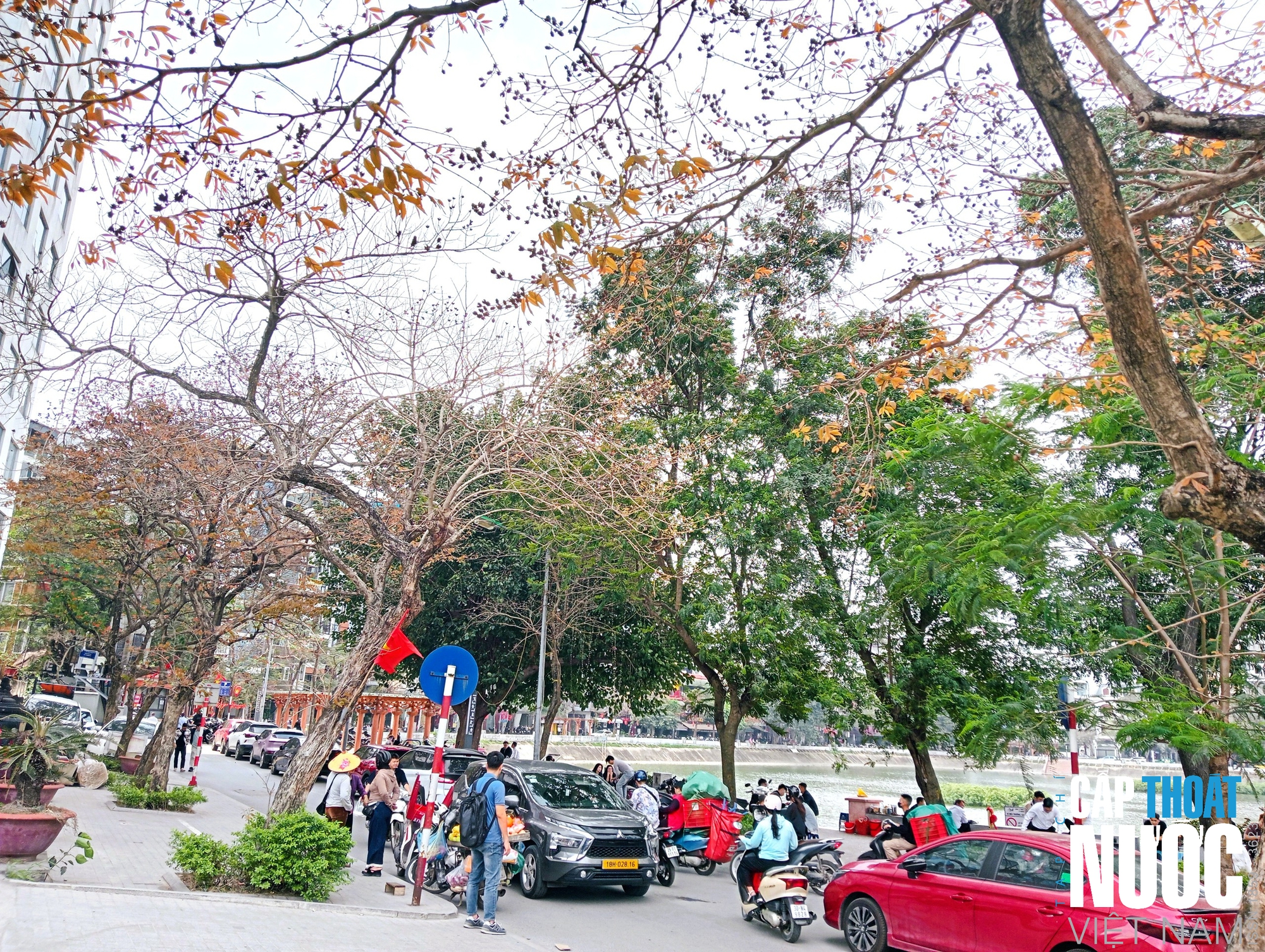 Dịu dàng tháng ba Hà Nội - Ảnh 8.