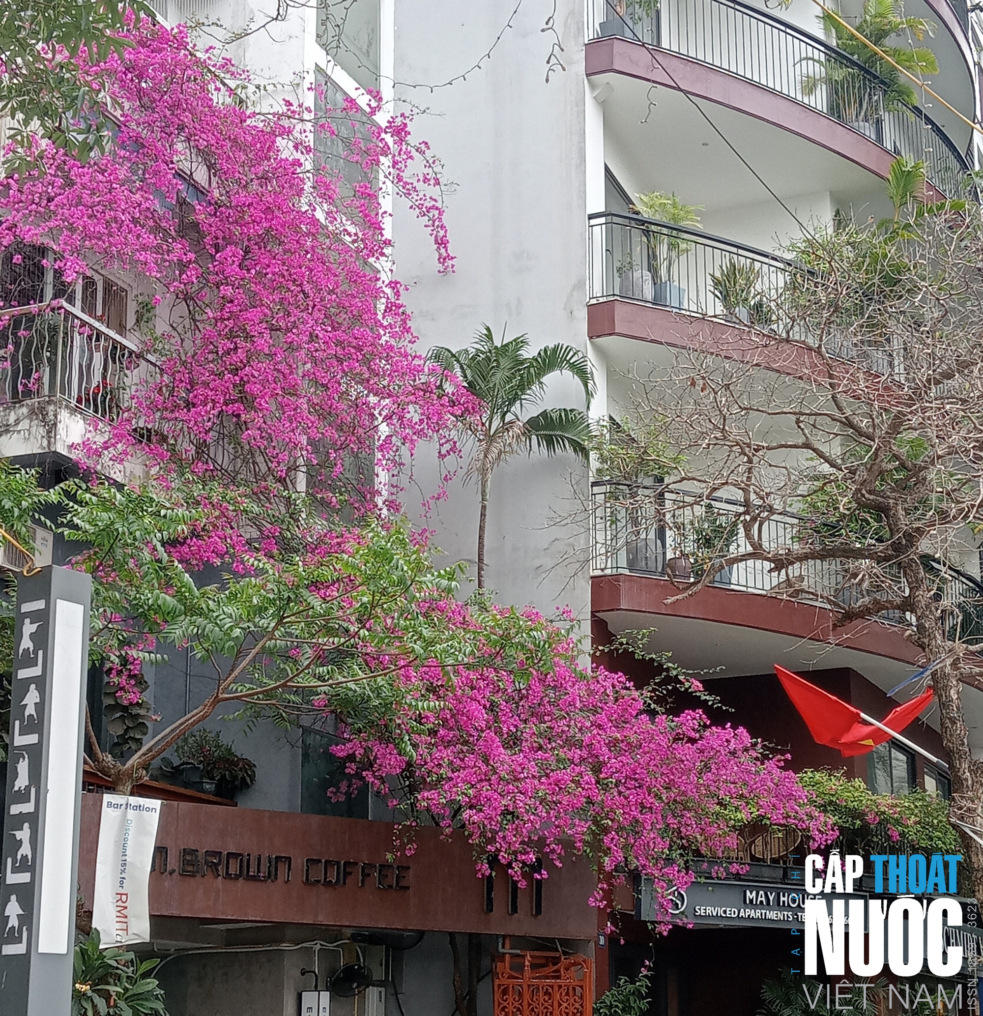 Dịu dàng tháng ba Hà Nội - Ảnh 9.