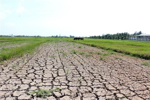 El Nino trở lại, doanh nghiệp cấp nước cần rà soát sớm hồ sơ khai thác - Ảnh 1.