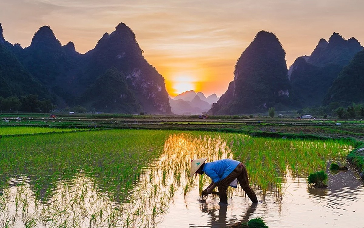 Ô nhiễm nguồn nước do lạm dụng phân bón, thuốc bảo vệ thực vật - Tạp chí Cấp thoát nước Việt Nam