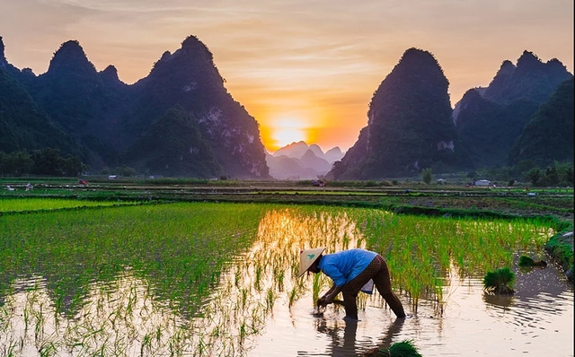 Ô nhiễm nguồn nước do lạm dụng phân bón, thuốc bảo vệ thực vật - Ảnh 1.