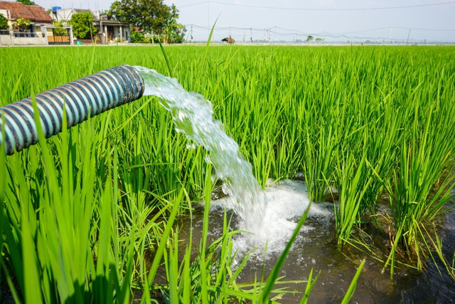 Việt Nam phấn đấu cấp nước sạch toàn bộ nông thôn vào 2045 - Ảnh 4.