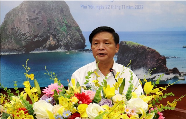 Phú Yên nỗ lực bảo tồn quần thể rạn san hô Hòn Yến - Ảnh 2.