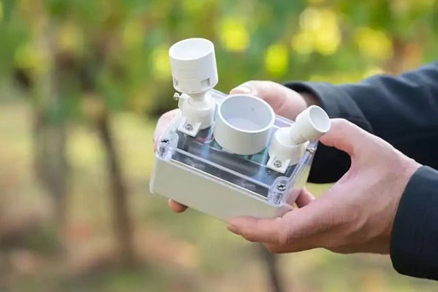Vườn nho Australia lắp đặt công nghệ cảm biến nước - Ảnh 2.