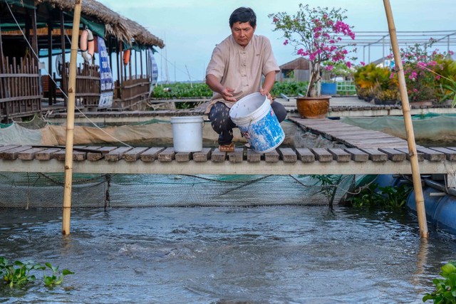 Những tác động của việc nước sông Mekong dâng cao trong mùa khô - Ảnh 1.