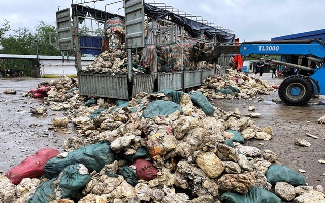 Công an tỉnh Thừa Thiên Huế phát hiện công ty xả thải chất rắn ra môi trường - Ảnh 2.