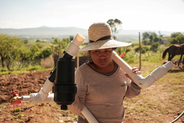 Giọt nước quý giá: Phụ nữ Mexico gìn giữ nước chống hạn hán - Ảnh 2.