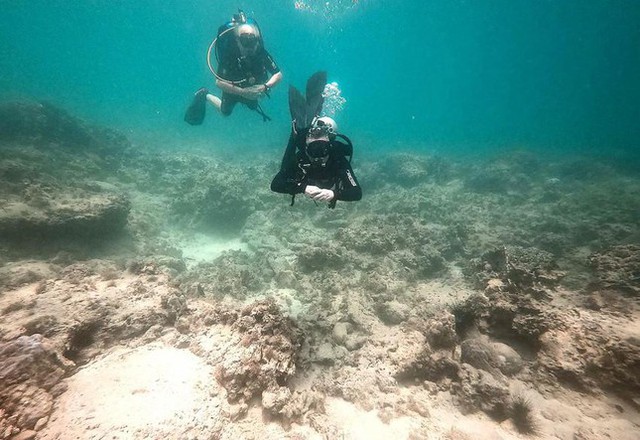 Hàng loạt rặng san hô bị &quot;tẩy trắng&quot; ở vịnh Nha Trang - Ảnh 1.