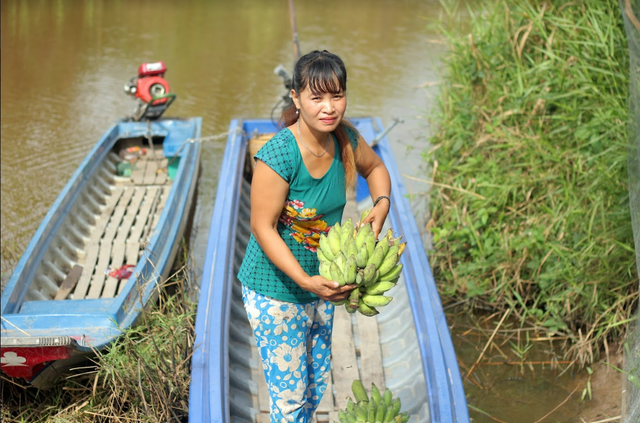 Nông dân U Minh Thượng thiếu chuẩn bị trước biến đổi khí hậu  - Ảnh 2.