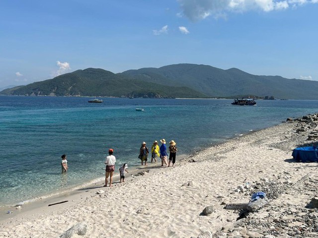 Tạm dừng hoạt động du lịch lặn biển để cứu san hô ở đảo Hòn Mun Nha Trang - Ảnh 5.