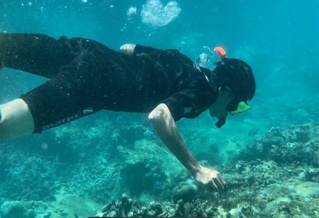 Tạm dừng hoạt động du lịch lặn biển để cứu san hô ở đảo Hòn Mun Nha Trang - Ảnh 1.