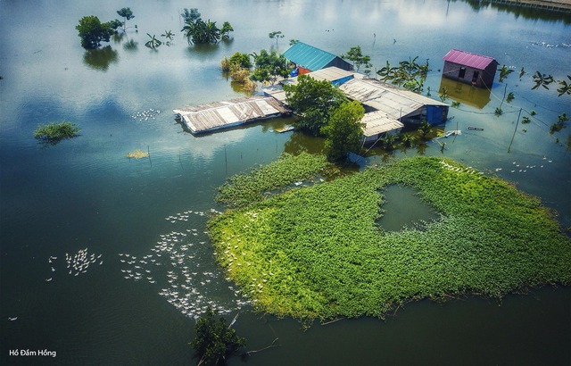 Ao hồ bị san lấp, ngập úng sau mưa ngày càng tăng ở Hà Nội - Ảnh 2.