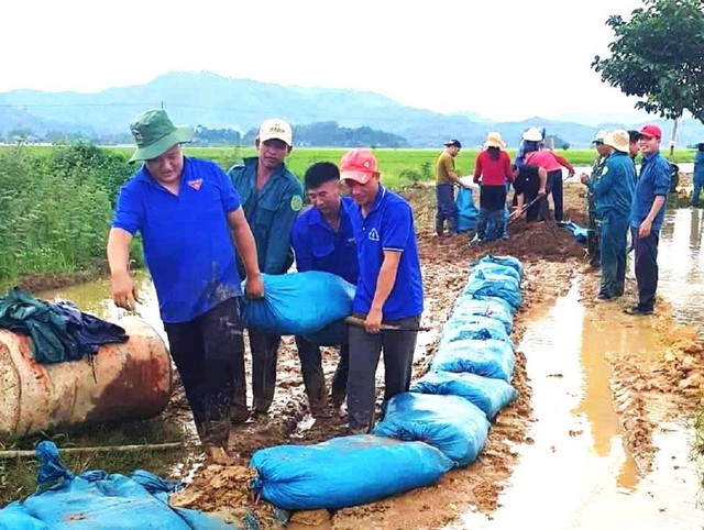 Huyện Lắk thiệt hại hơn 2.235 ha cây trồng do ngập lụt - Ảnh 1.