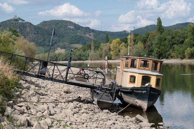 Đức: Nước sông Rhine xuống quá thấp khiến thuyền mắc cạn - Ảnh 1.