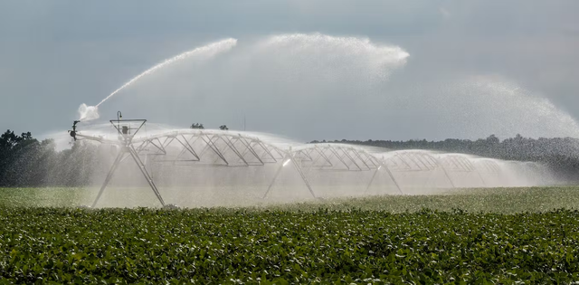 Cảm biến không dây và các hệ thống dữ liệu có thể giúp nông dân sử dụng nước hiệu quả hơn bằng cách giám sát tình trạng đất (ảnh: Smith Collection/Gado/Getty Images)