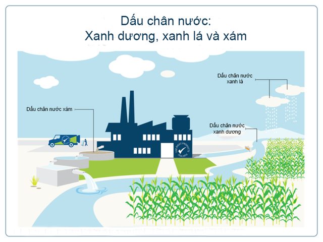 Nước trong sản xuất điện thoại thông minh - Ảnh 2.