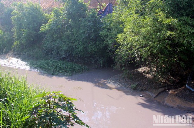 Đồng Nai xử phạt 140 triệu công ty gây ô nhiễm sông Buông - Ảnh 2.