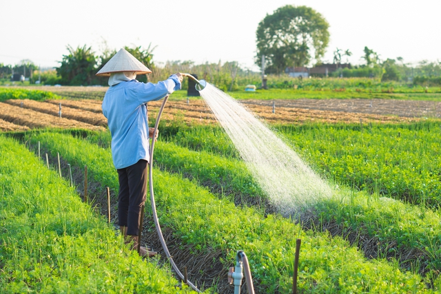 Việt Nam tìm cách nâng cao hiệu quả cấp nước nông thôn - Ảnh 1.