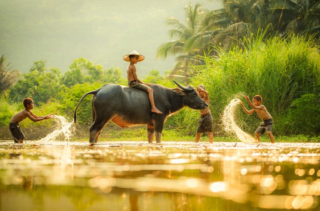 Việt Nam tìm cách nâng cao hiệu quả cấp nước nông thôn - Ảnh 2.
