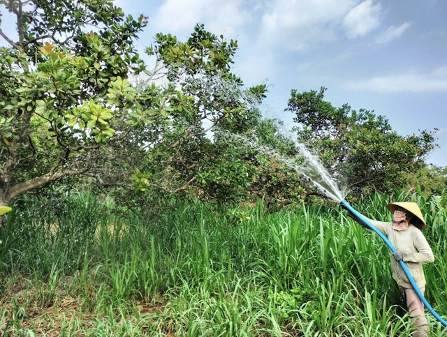 Nâng chuẩn nước sạch nông thôn Đồng Nai - Ảnh 2.