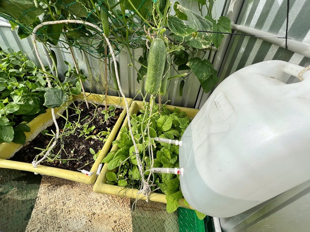 Nước ngọt nơi nhà giàn DK1, mạch sống giữa biển xa- Ảnh 5. Nước ngọt nơi nhà giàn DK1, mạch sống giữa biển xa- Ảnh 5.