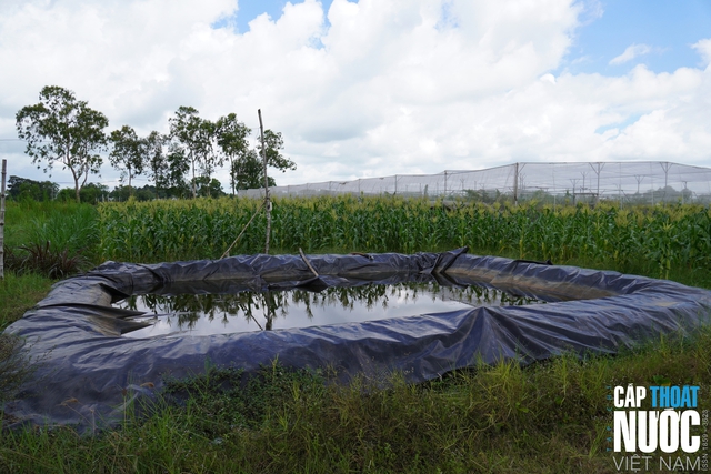 Trung tâm Nước STARS: Hướng tiếp cận tích hợp cho bài toán nguồn nước ĐBSCL - Ảnh 2.