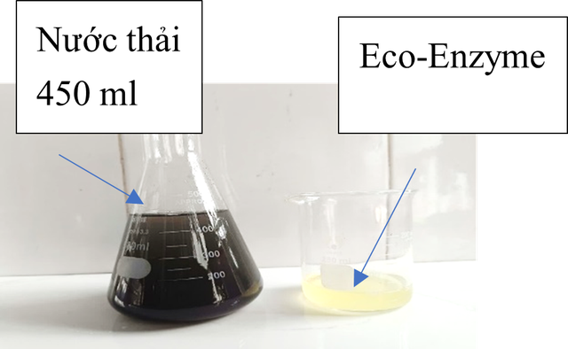 Đánh giá đặc điểm và ứng dụng của Eco-Enzymeđược sản xuất từ vỏ họ quả Citrus - Ảnh 4.