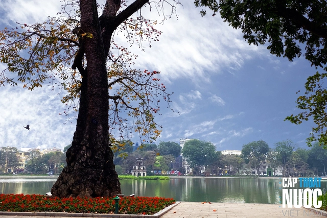 Dịu dàng tháng ba Hà Nội - Ảnh 2.