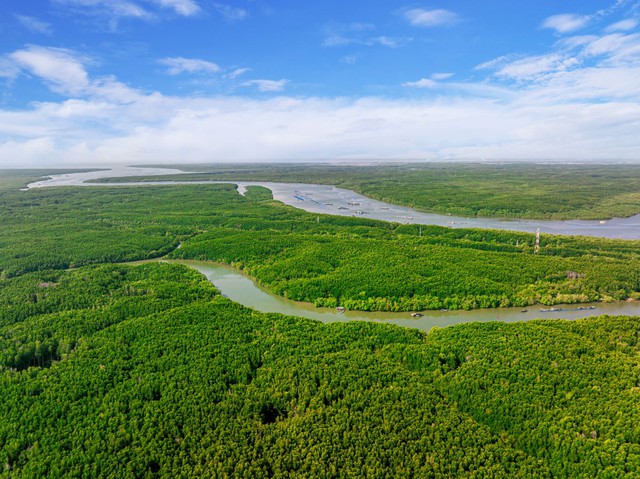 Cơn khát “biểu tượng du lịch châu Á” của TP.HCM và cơ hội thế kỷ cho Cần Giờ - Ảnh 2.