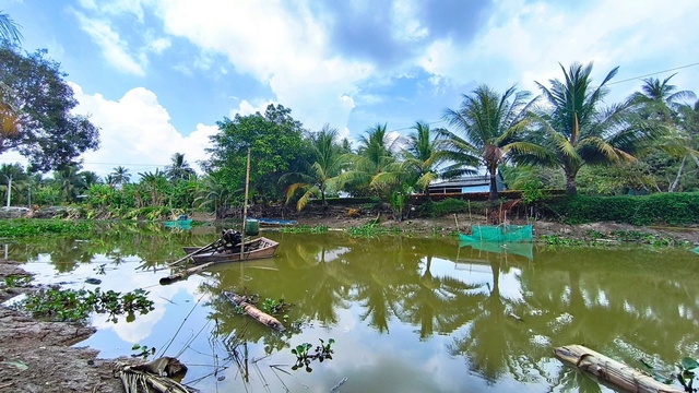 Từ ứng phó mùa khô đến bài toán hạ tầng nước liên vùng ĐBSCL - Ảnh 2.