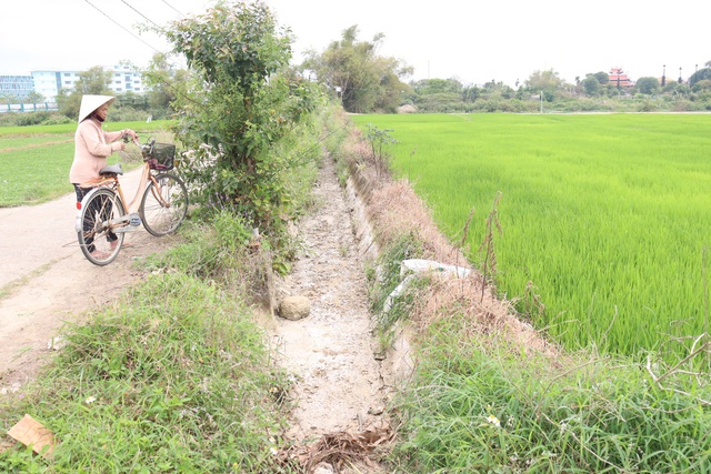 Mặn dâng cao, Đà Nẵng khẩn trương giữ nước ngọt  - Ảnh 2.