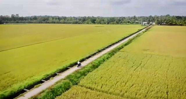 Water Forward thúc đẩy làn sóng cam kết mới về an ninh nguồn nước - Ảnh 3.