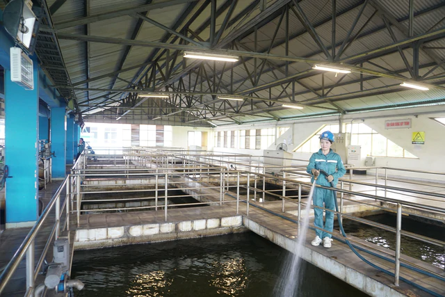Quyết định 40/2026/QĐ-TTg: Cơ cấu vốn ngành Nước không chỉ là câu chuyện tỷ lệ sở hữu - Ảnh 3.