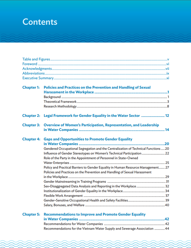 Sắp ra mắt Báo cáo "Xác định khoảng trống và cơ hội để thúc đẩy bình đẳng giới trong ngành nước tại Việt Nam" - Ảnh 1.