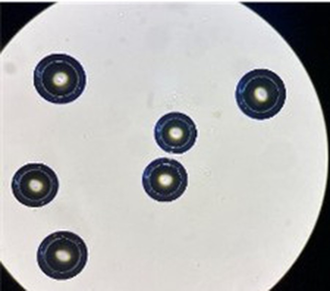 Công nghệ Cấp nước mới và ứng dụng ở Việt Nam - Ảnh 10.